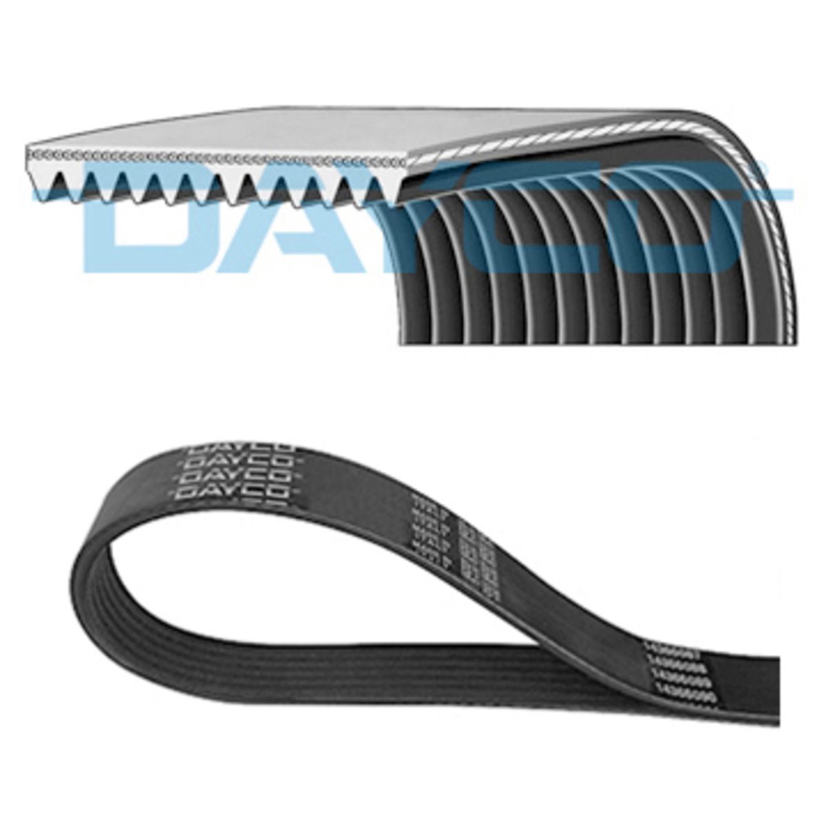 Dayco Cinghia Poly-V 12Pk2135hd