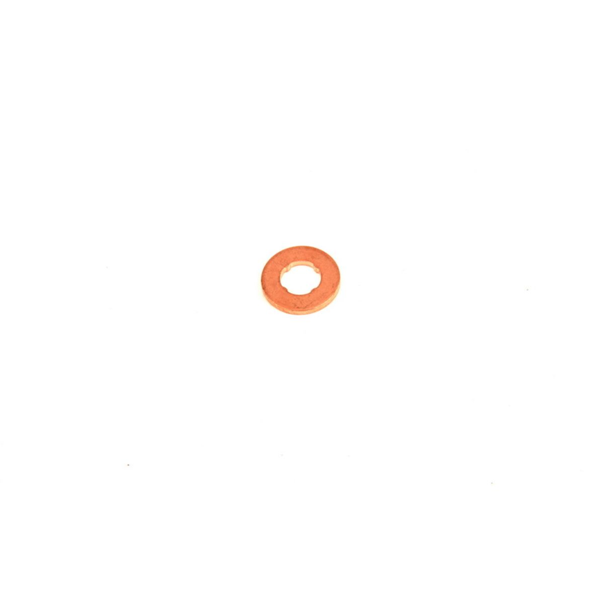 22254