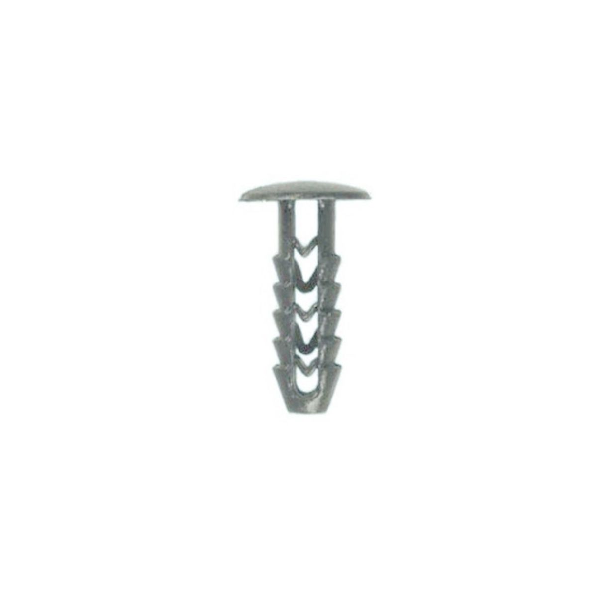 Image of Clip  , 25 Stuk