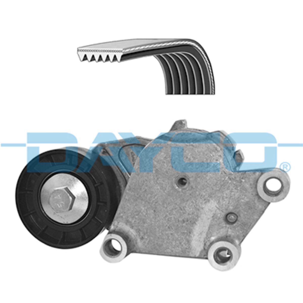 Poly V-riem set FleetRunner™ Micro-V® Kit