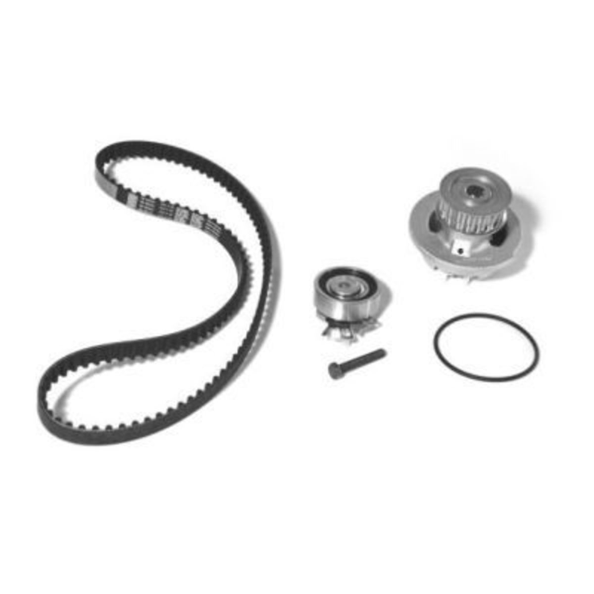 Image of Waterpomp+distributieriem set