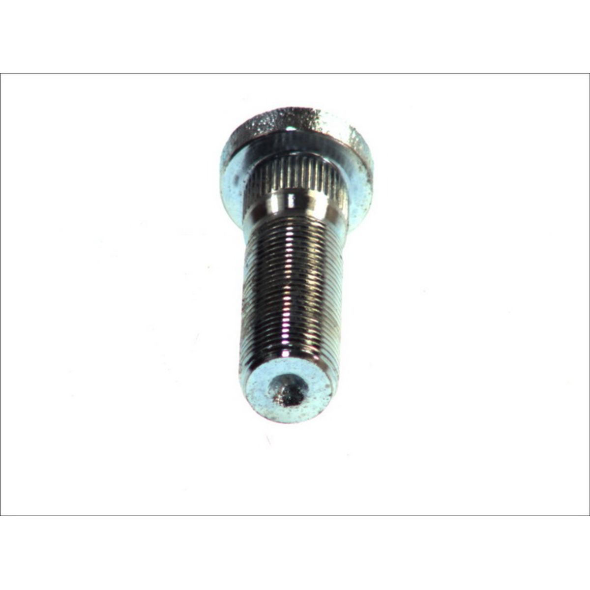 Image of Wielbout  40406
