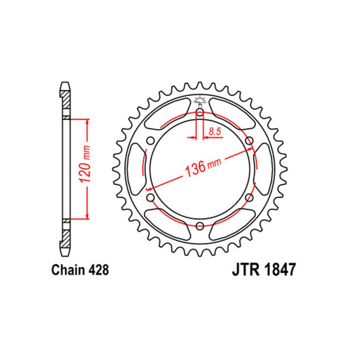 Pignone posteriore JTR 1847,52