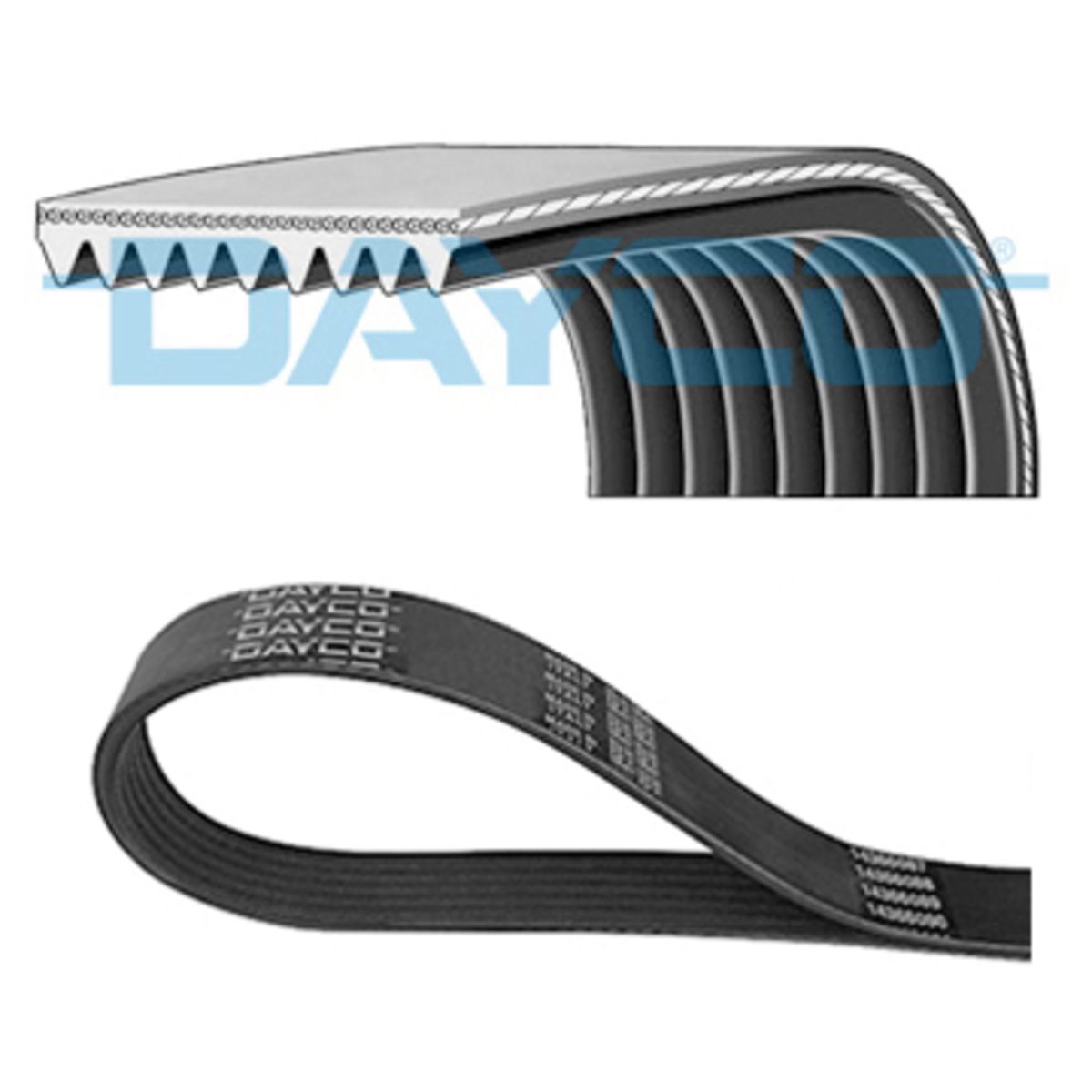 Dayco Cinghia Poly-V 9Pk2100hd