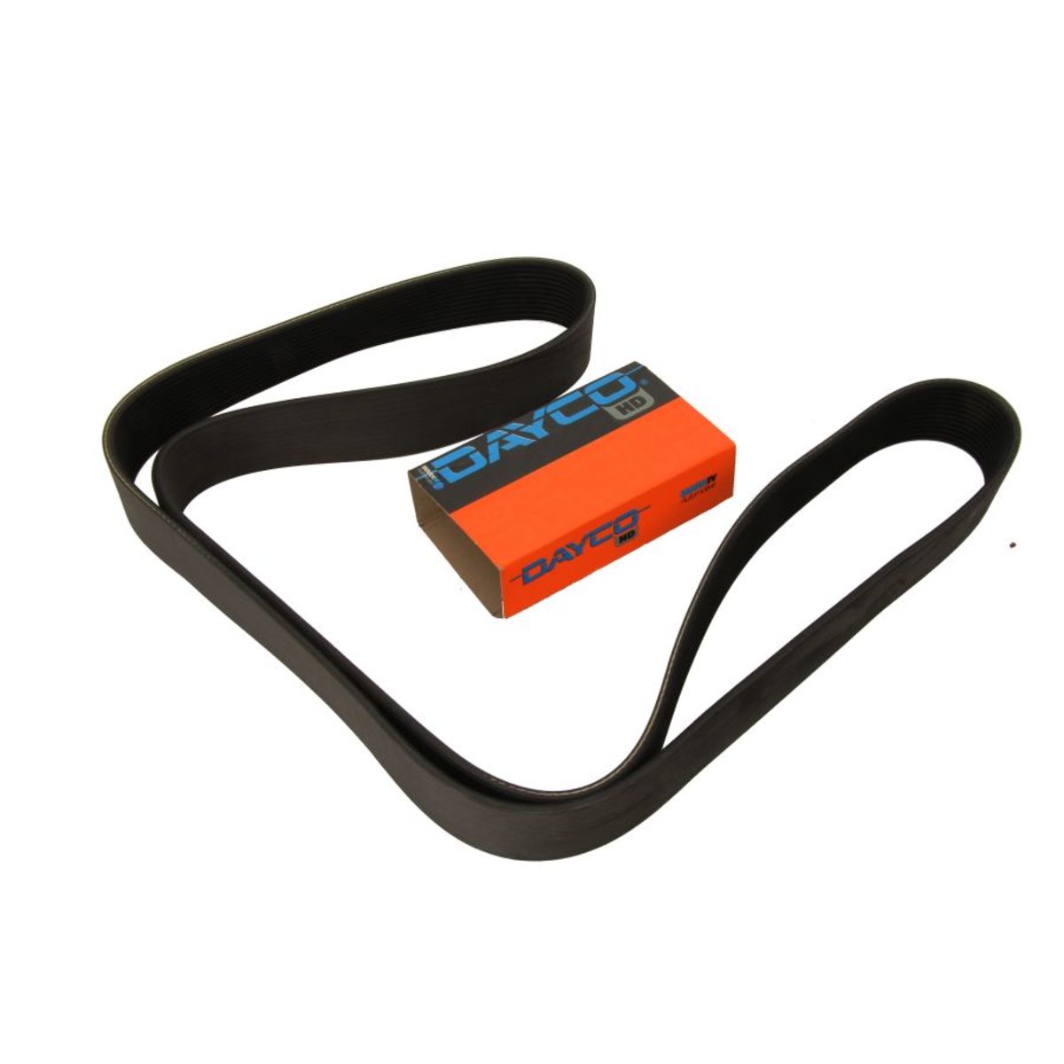 Dayco Cinghia Poly-V 12Pk1835hd
