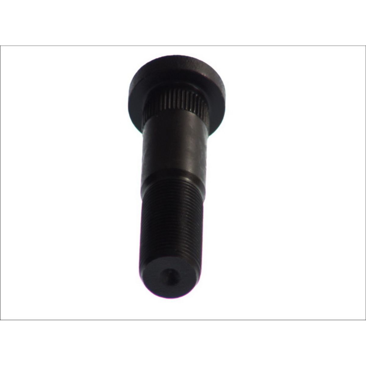 Image of Wielbout  40806