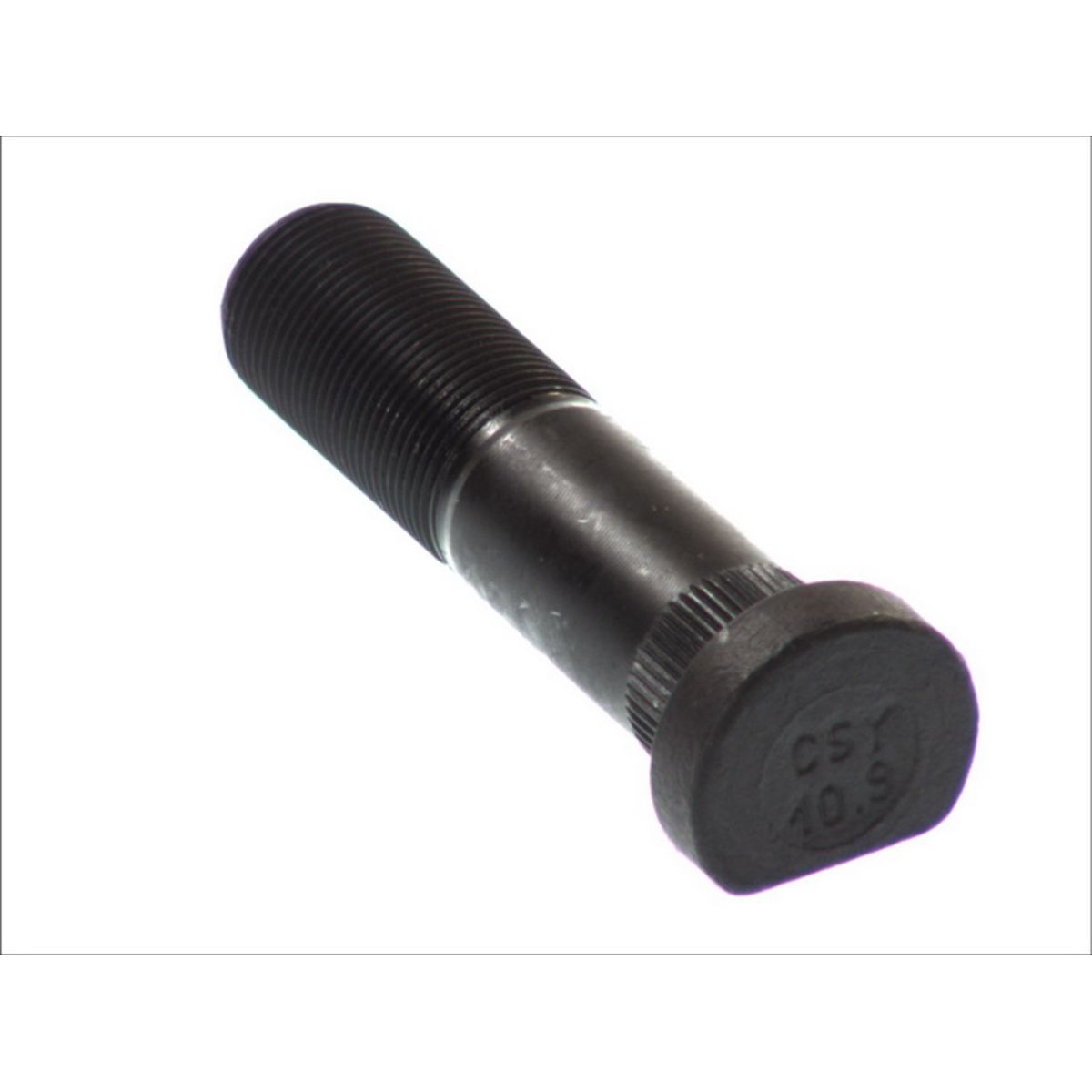 Image of Wielbout  40111