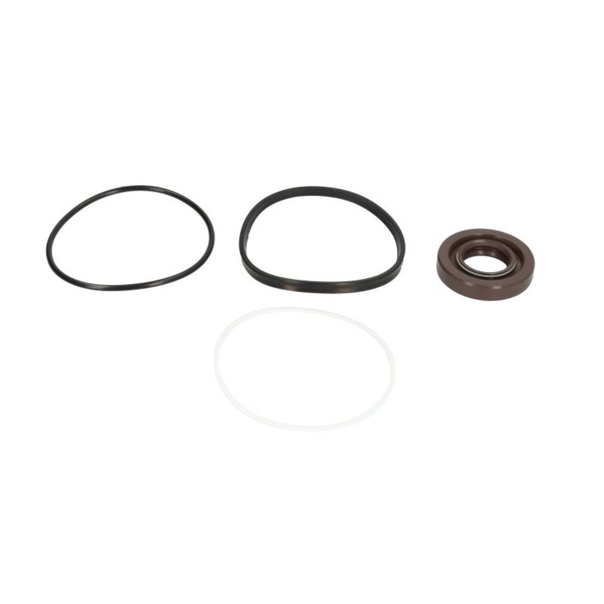 Pompa servosterzo idraulico 2.95120 DT Spare Parts - Immagine 4