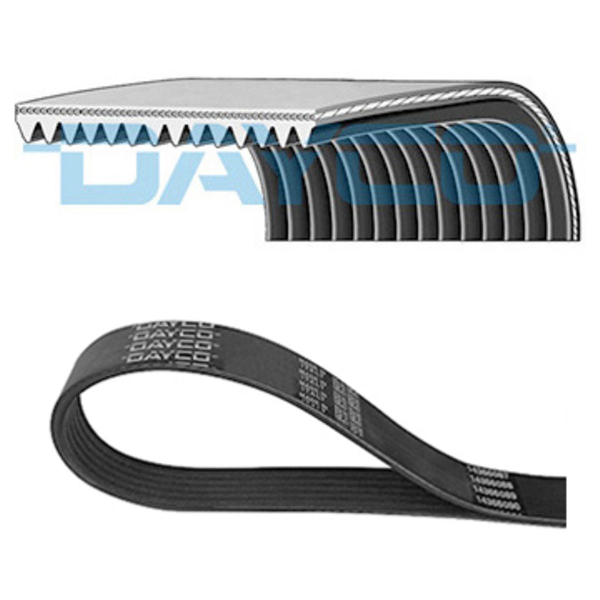 Image of Poly V-riem