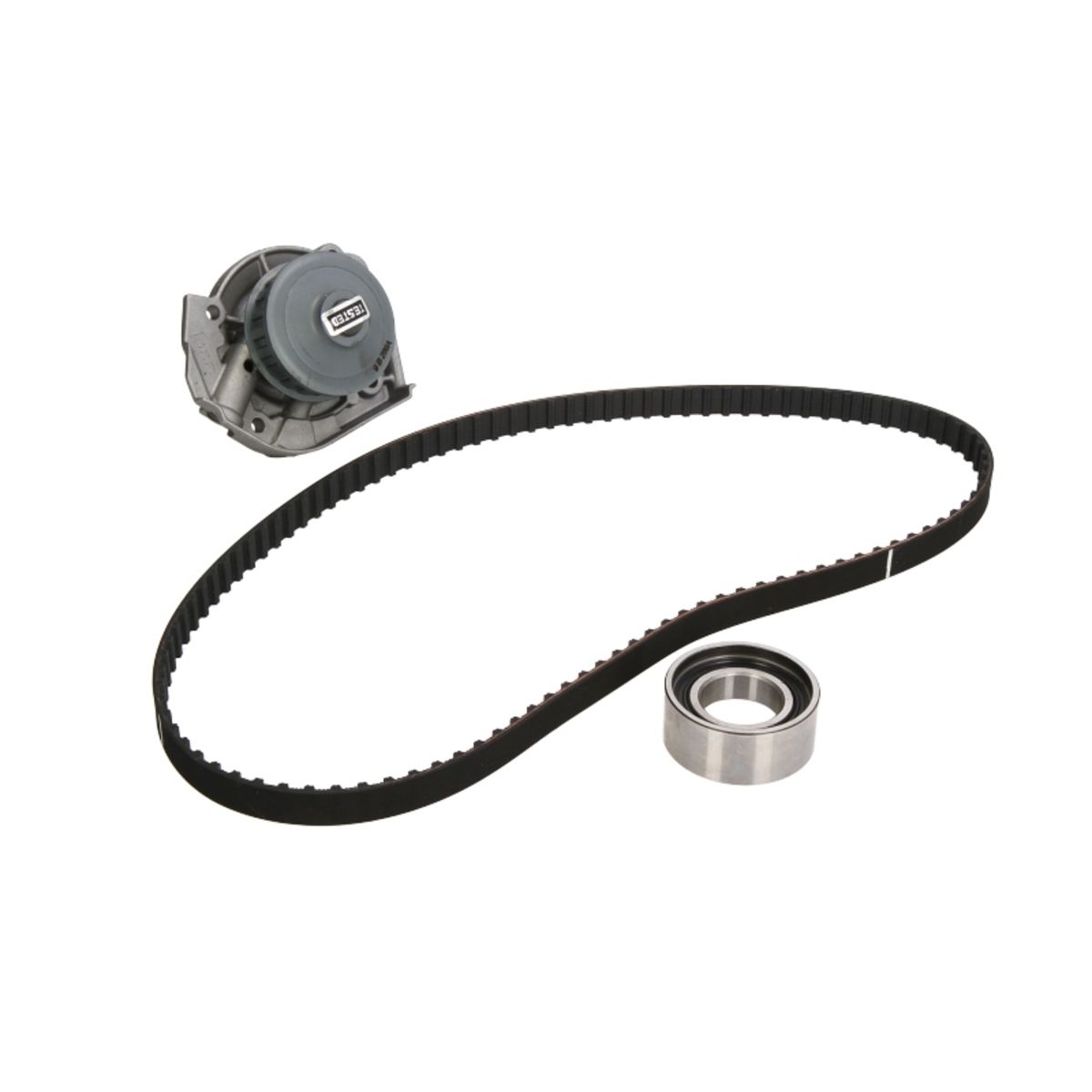 Pompa dell'acqua + kit cinghia di distribuzione SKF VKMC 02202