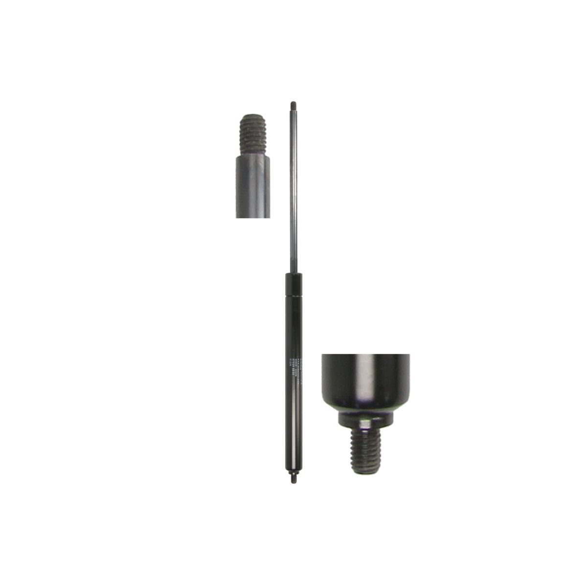 Gasfeder, Koffer-/Laderaum STABILUS STA396981