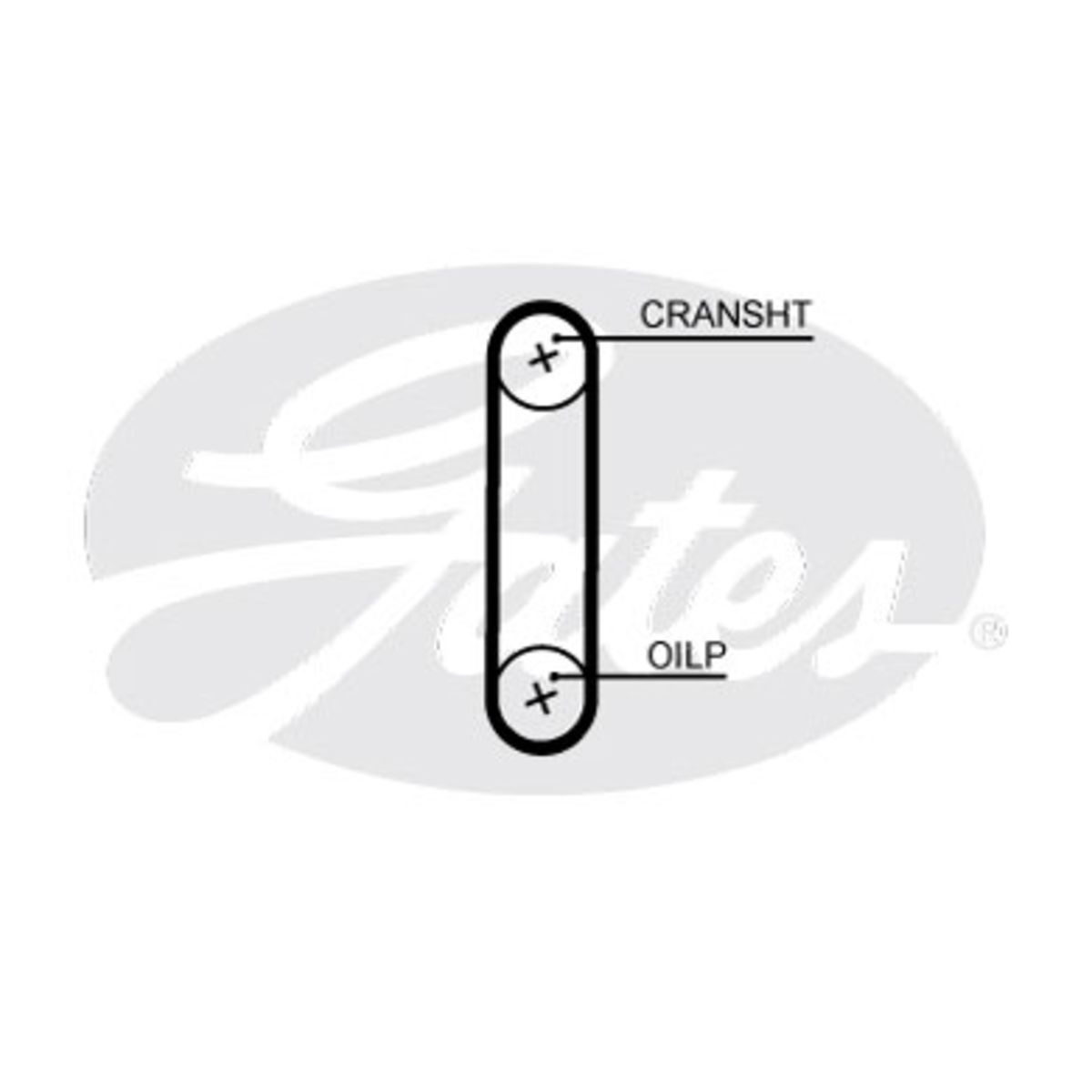 Image of Tandriem PowerGrip