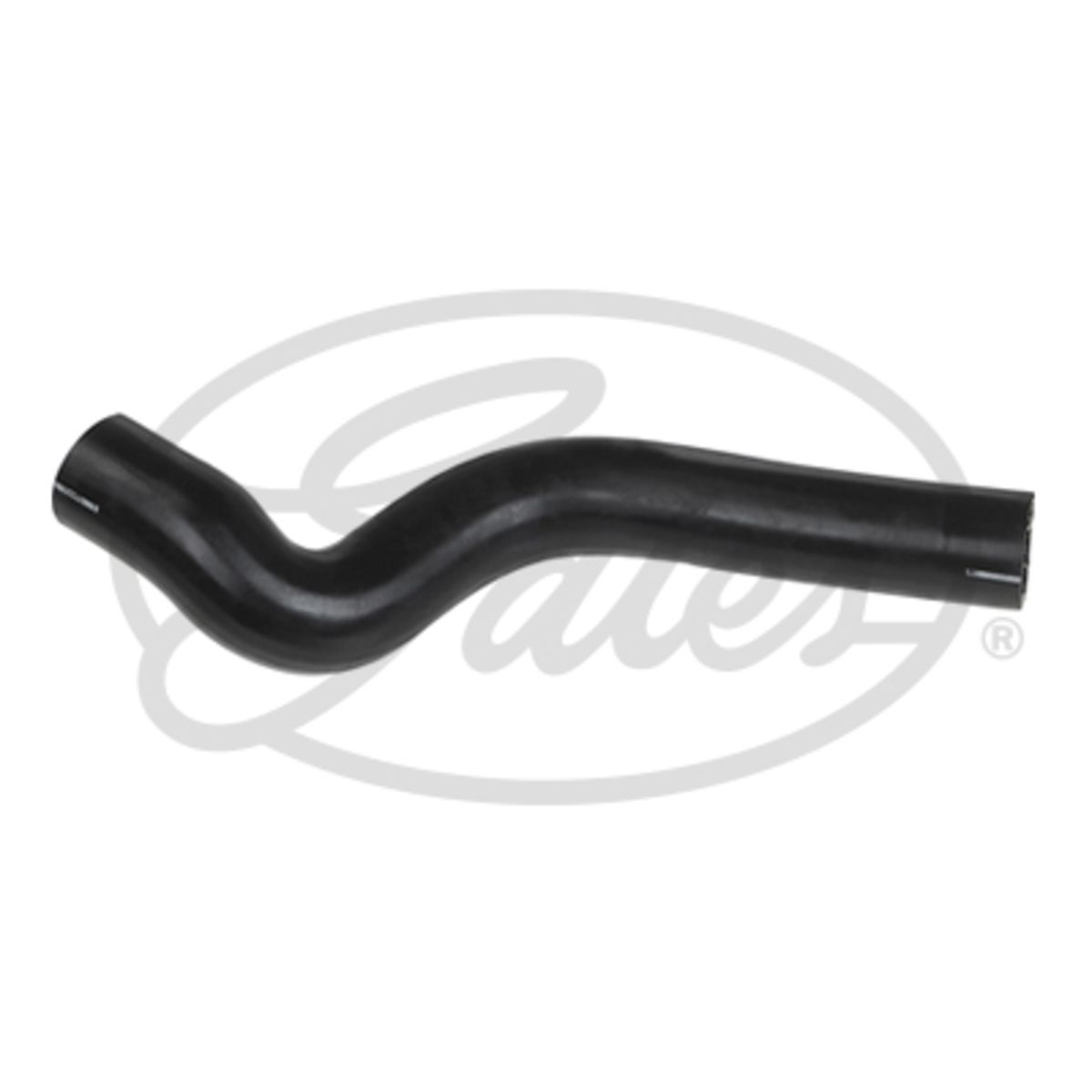 Image of Radiatorslang