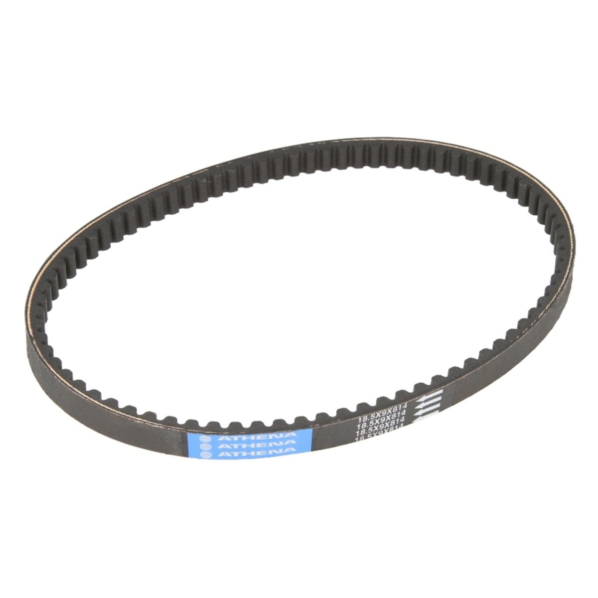Cinghia di trasmissione ATHENA S410000350015