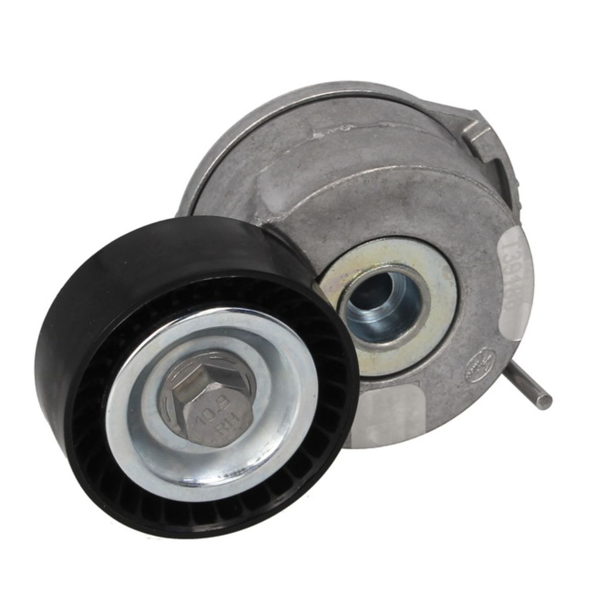 Image of Spanpoelie, V-riem