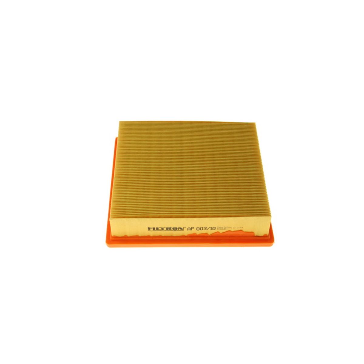 Filtron Filtro Aria Ap 003/10 - Immagine 3