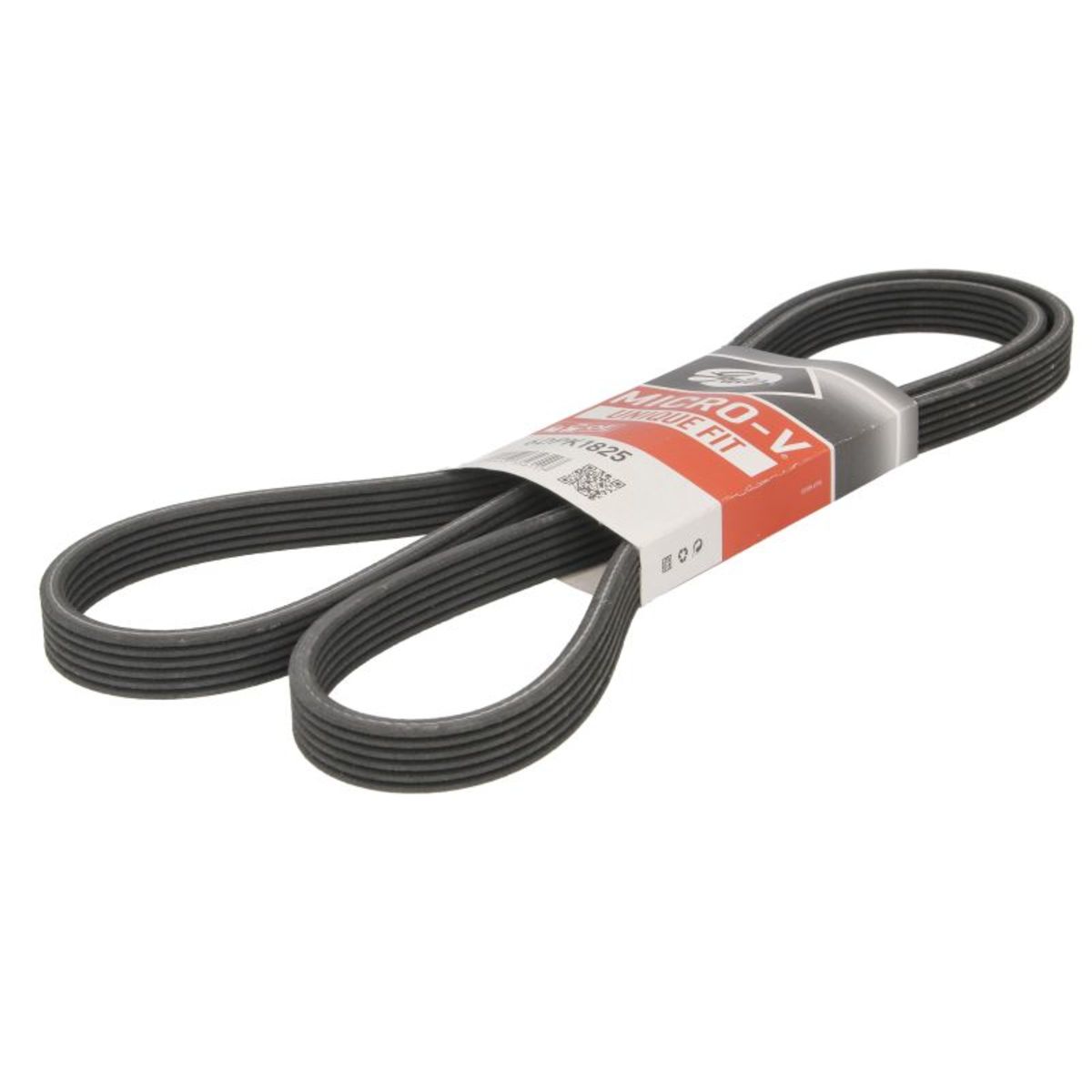 Nero Cinghia Poly-V Gates 6Dpk1825