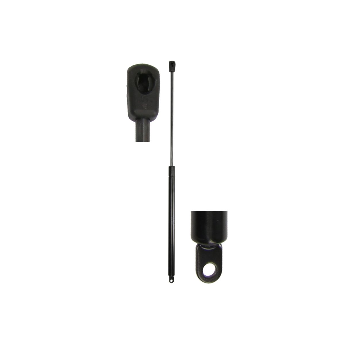 Gasfeder, Koffer-/Laderaum STABILUS STA981184