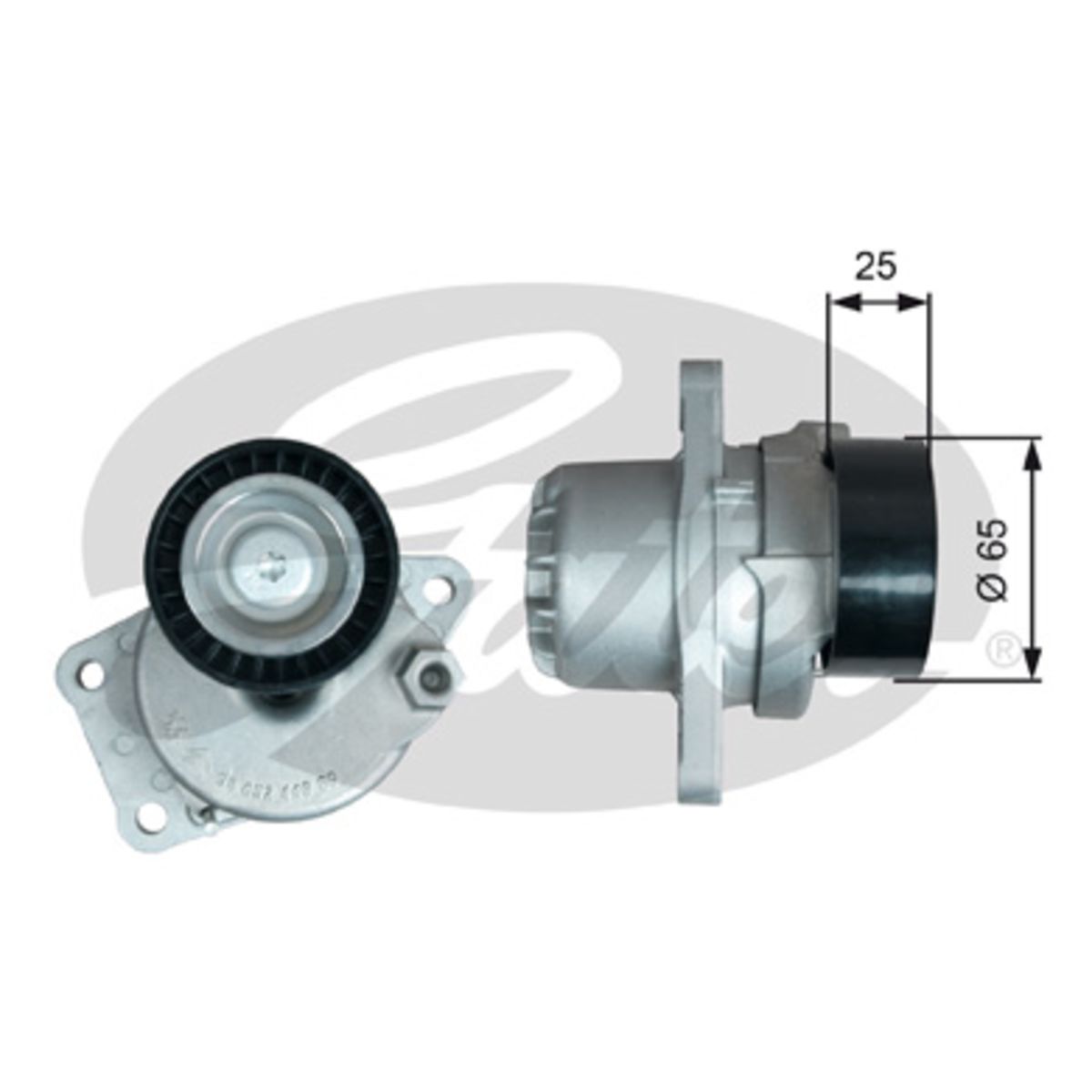Image of Spanpoelie, V-riem