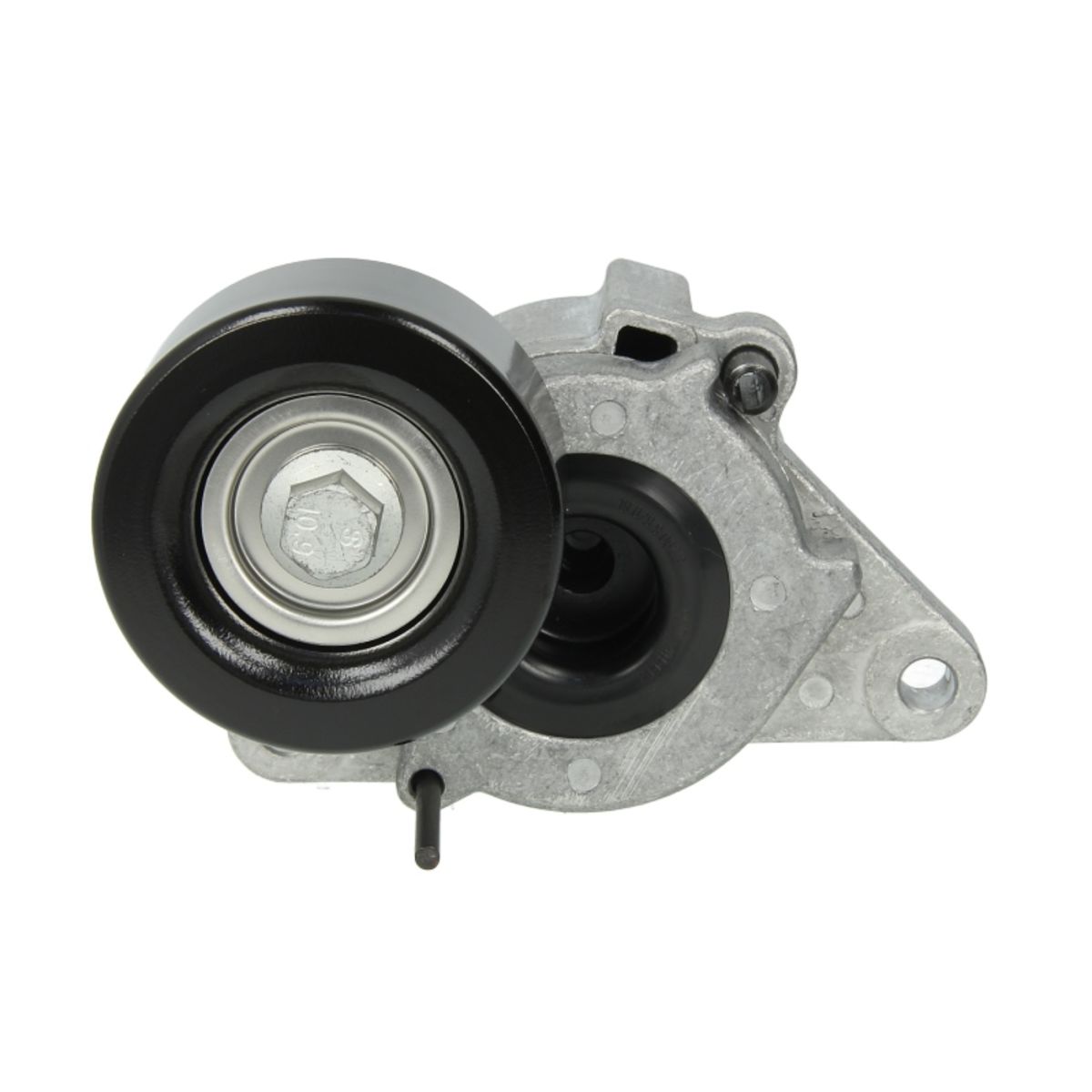 Image of Spanpoelie, V-riem