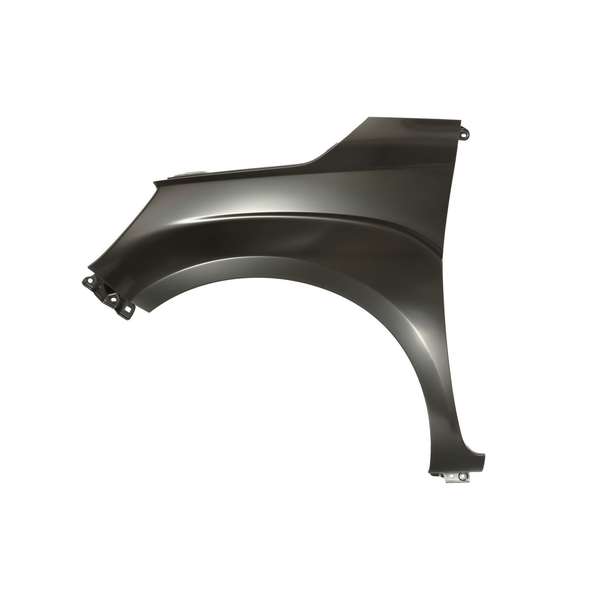 Blic Parafango 6504-04-6819311P, Sinistro