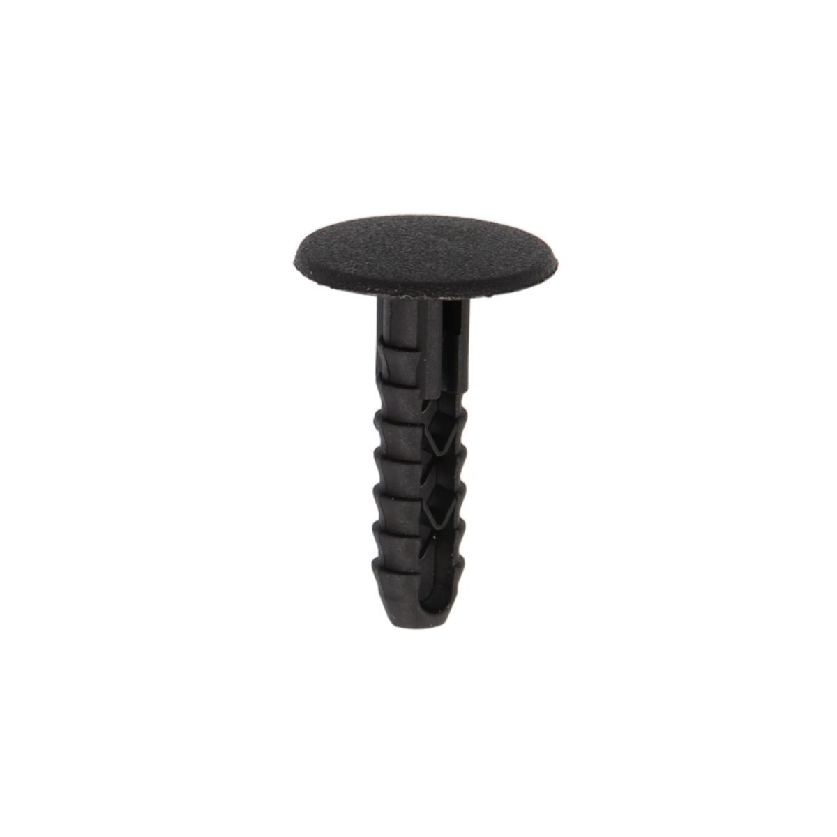 Image of Clip  , 10 Stuk
