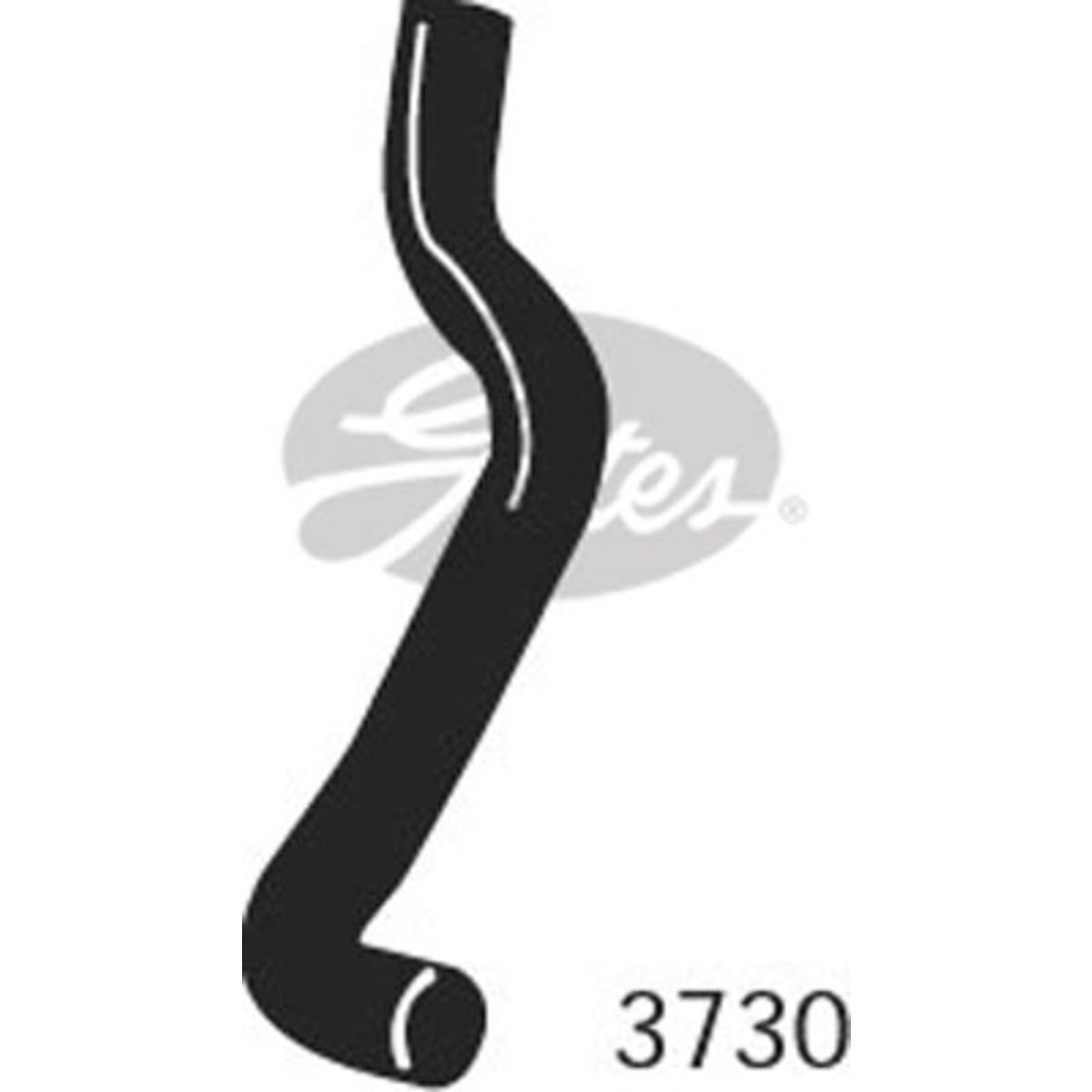 Image of Radiatorslang