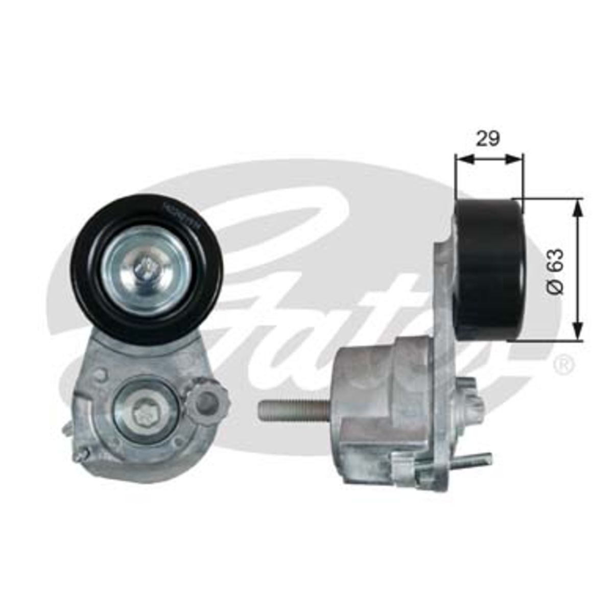 Image of Spanpoelie, V-riem