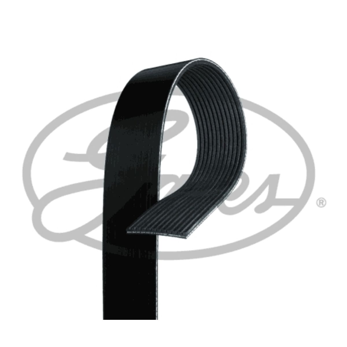 Image of V-riem