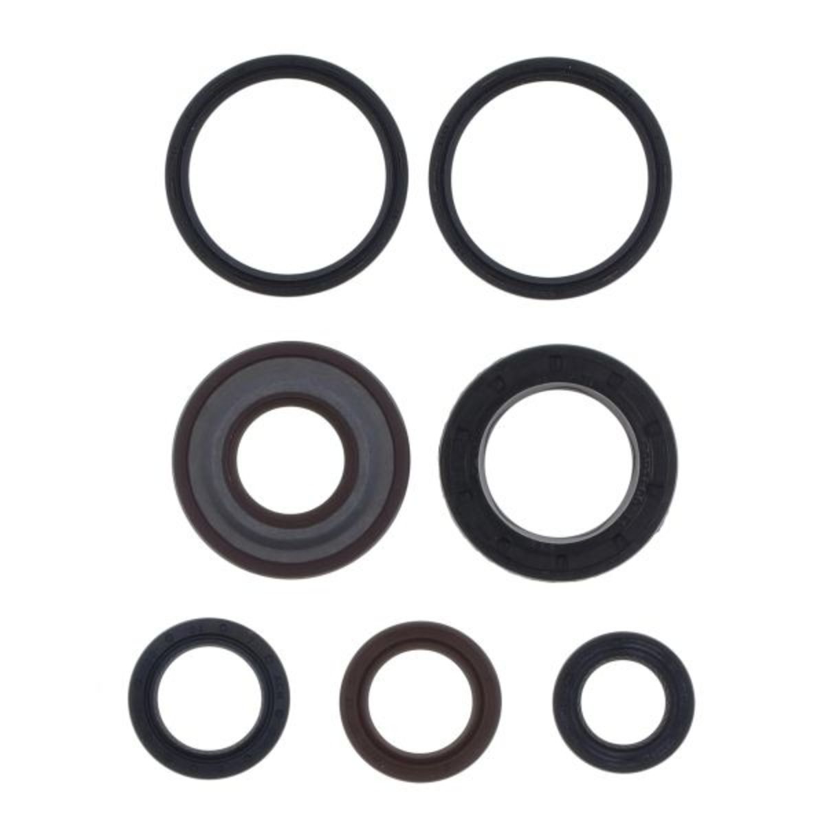 Motorsimmerringsatz ATHENA P400480400125