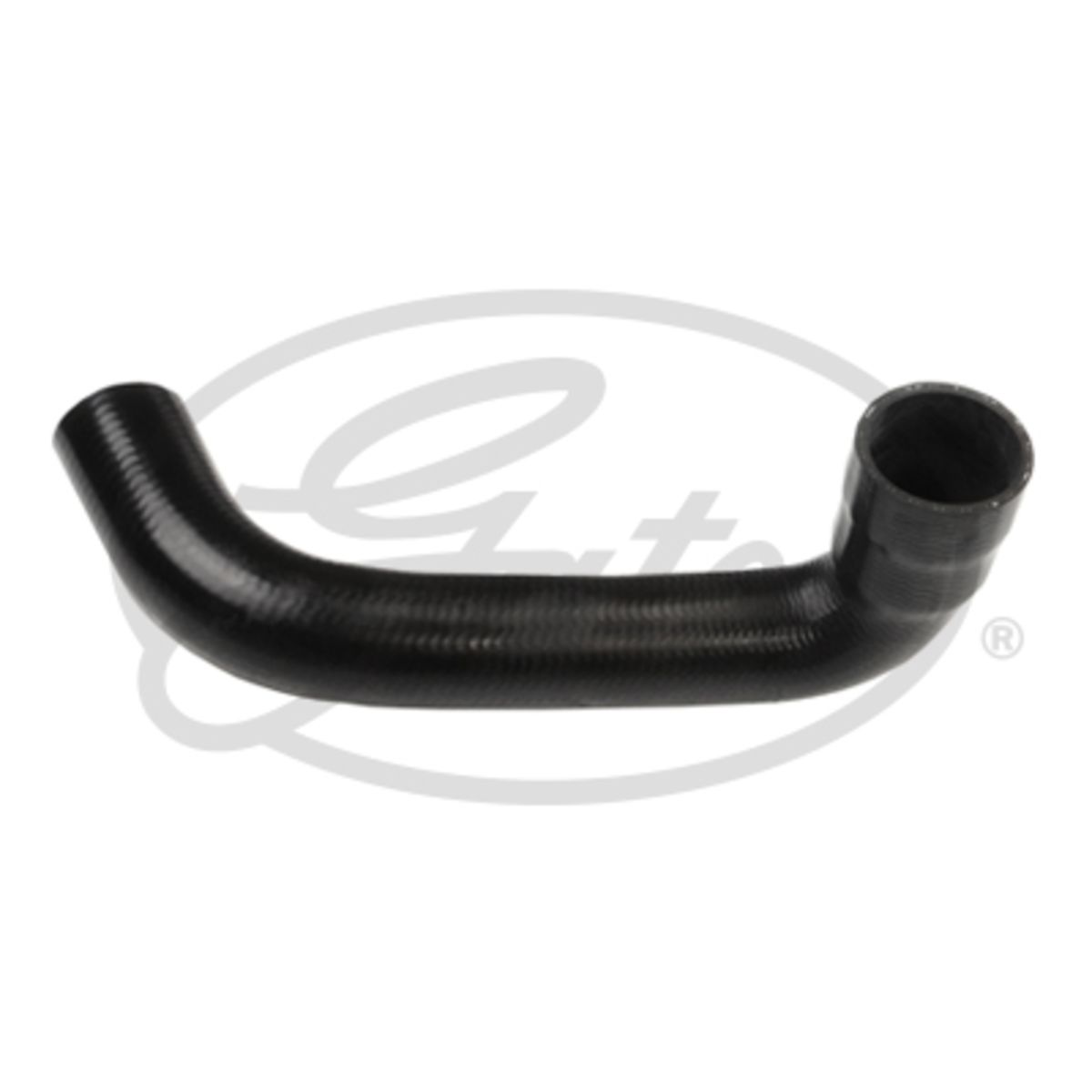 Image of Radiatorslang