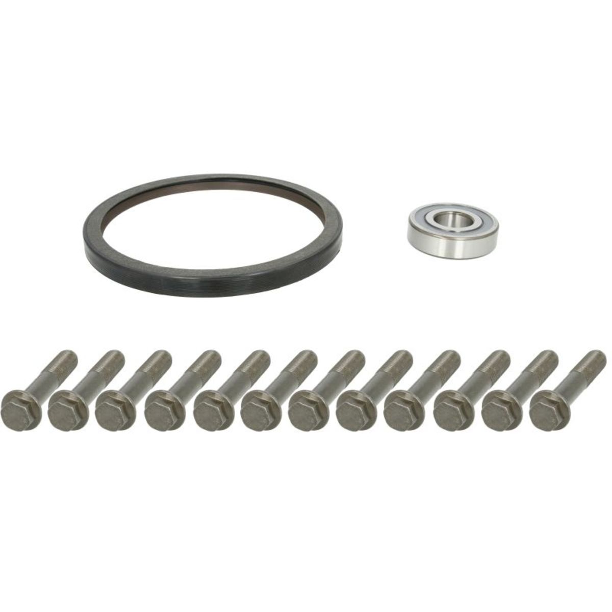 Image of Reparatieset, vliegwiel  BILSTEIN