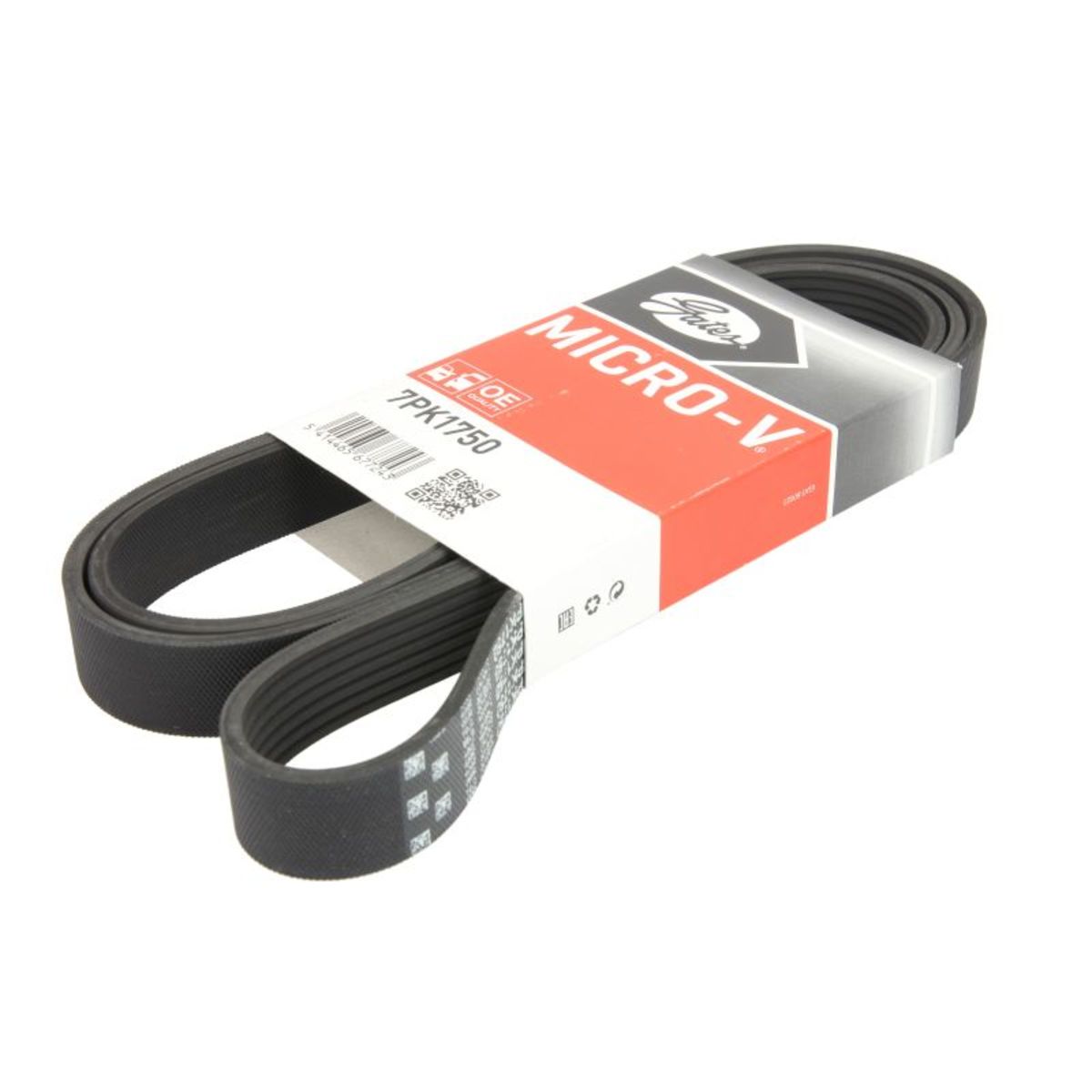 Nero Cinghia Poly-V Gates 7Pk1750