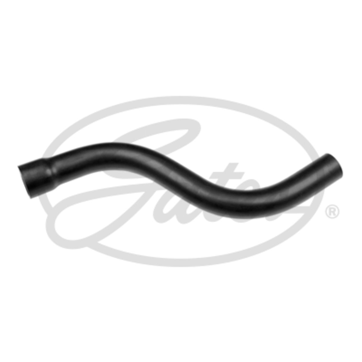 Image of Radiatorslang