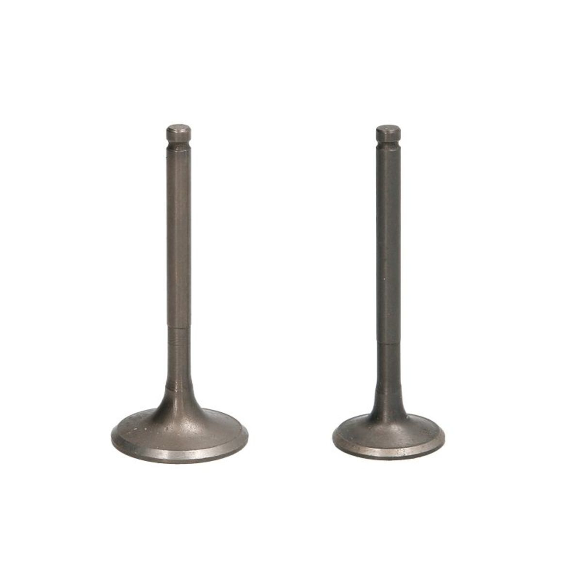 Kit de réparation, Piston/Chemise de cylindre INPARTS IP000148