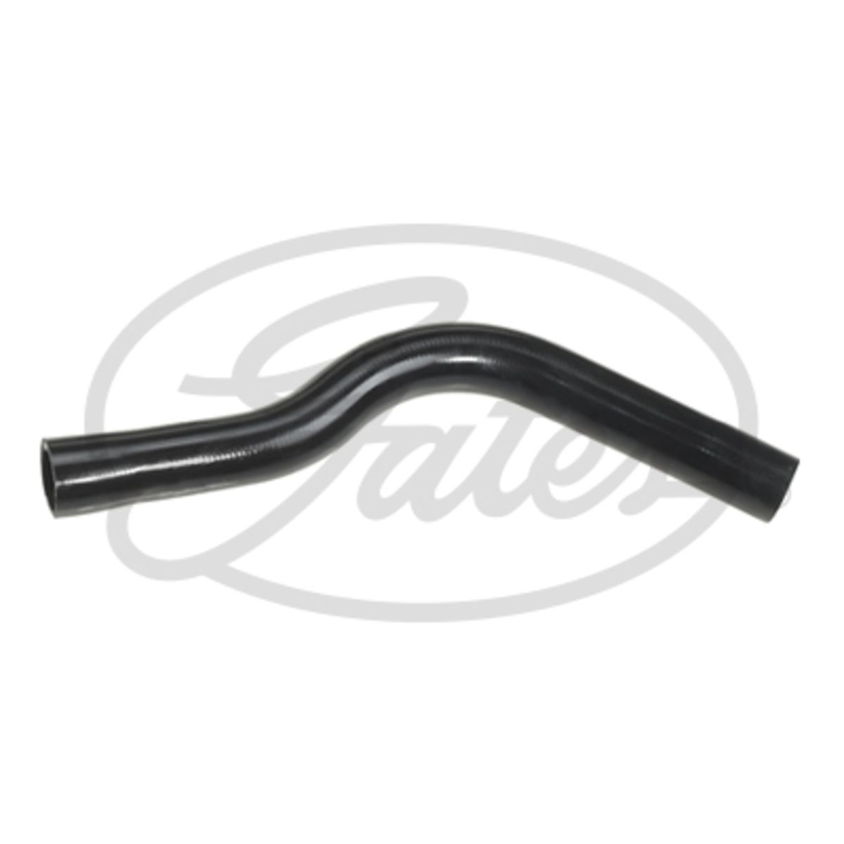 Image of Radiatorslang
