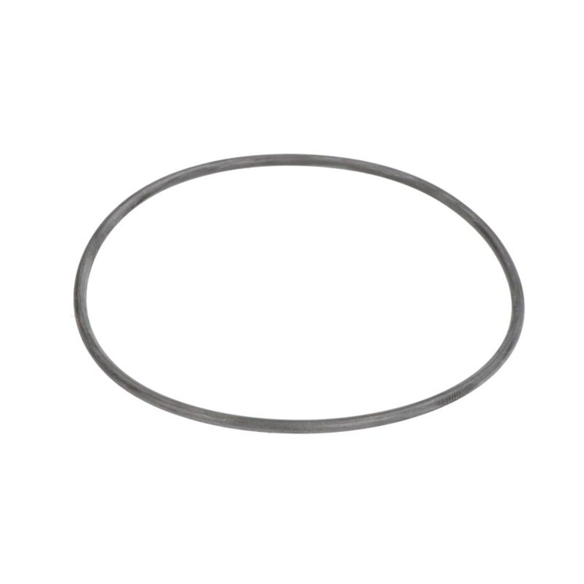 Euroricambi Getriebe O-Ring 88530962