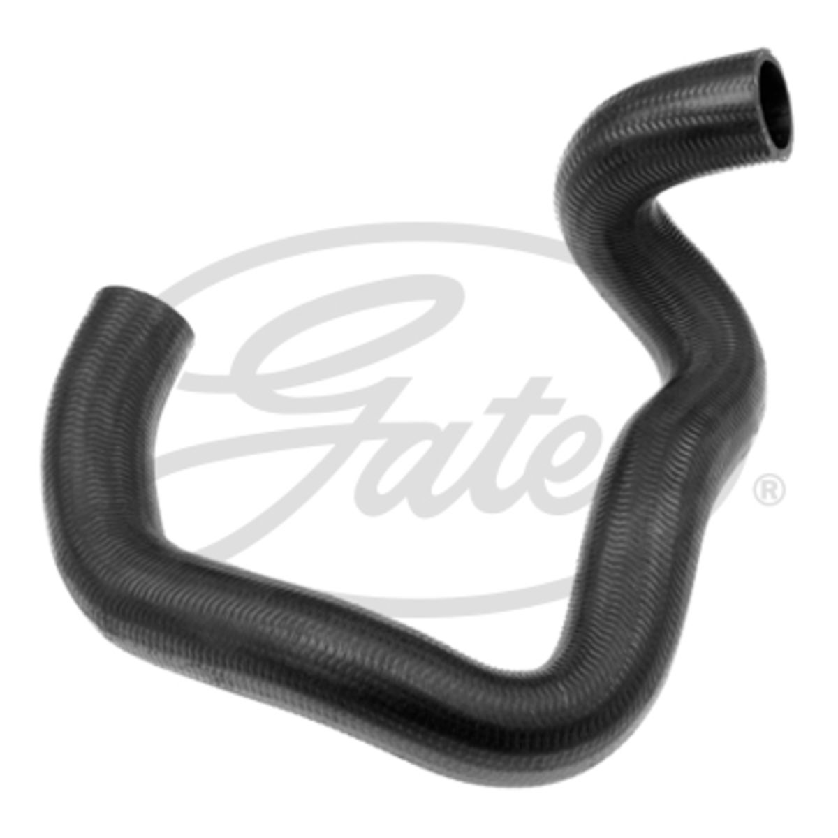 Image of Radiatorslang