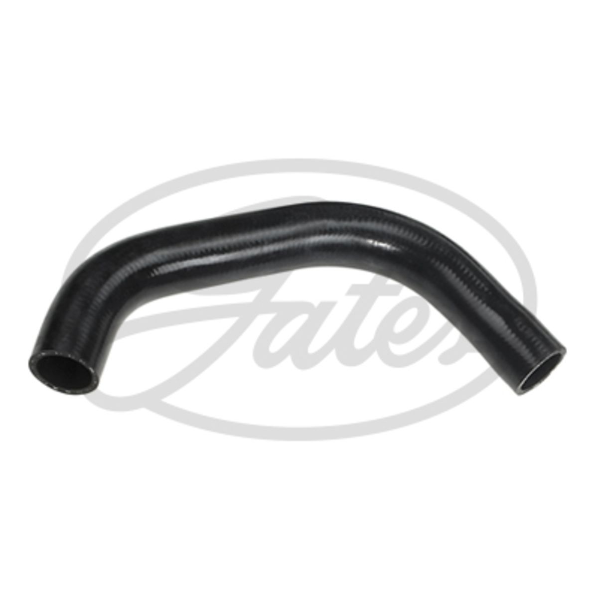 Image of Radiatorslang