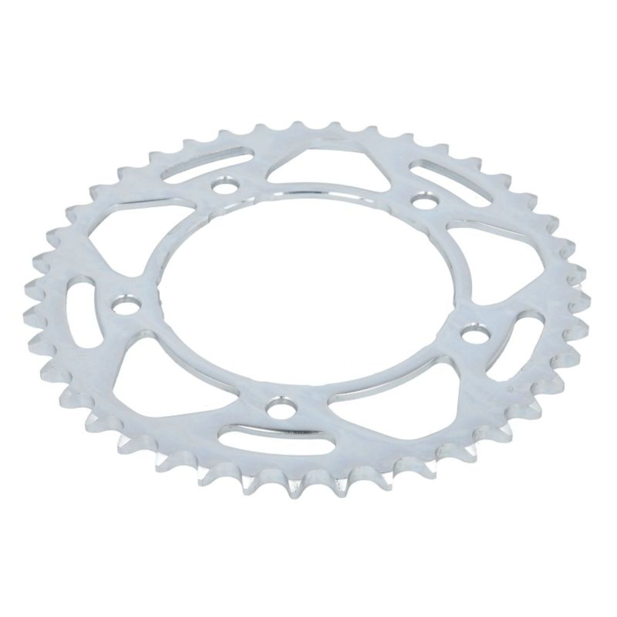 Pignone posteriore JTR 1877,41