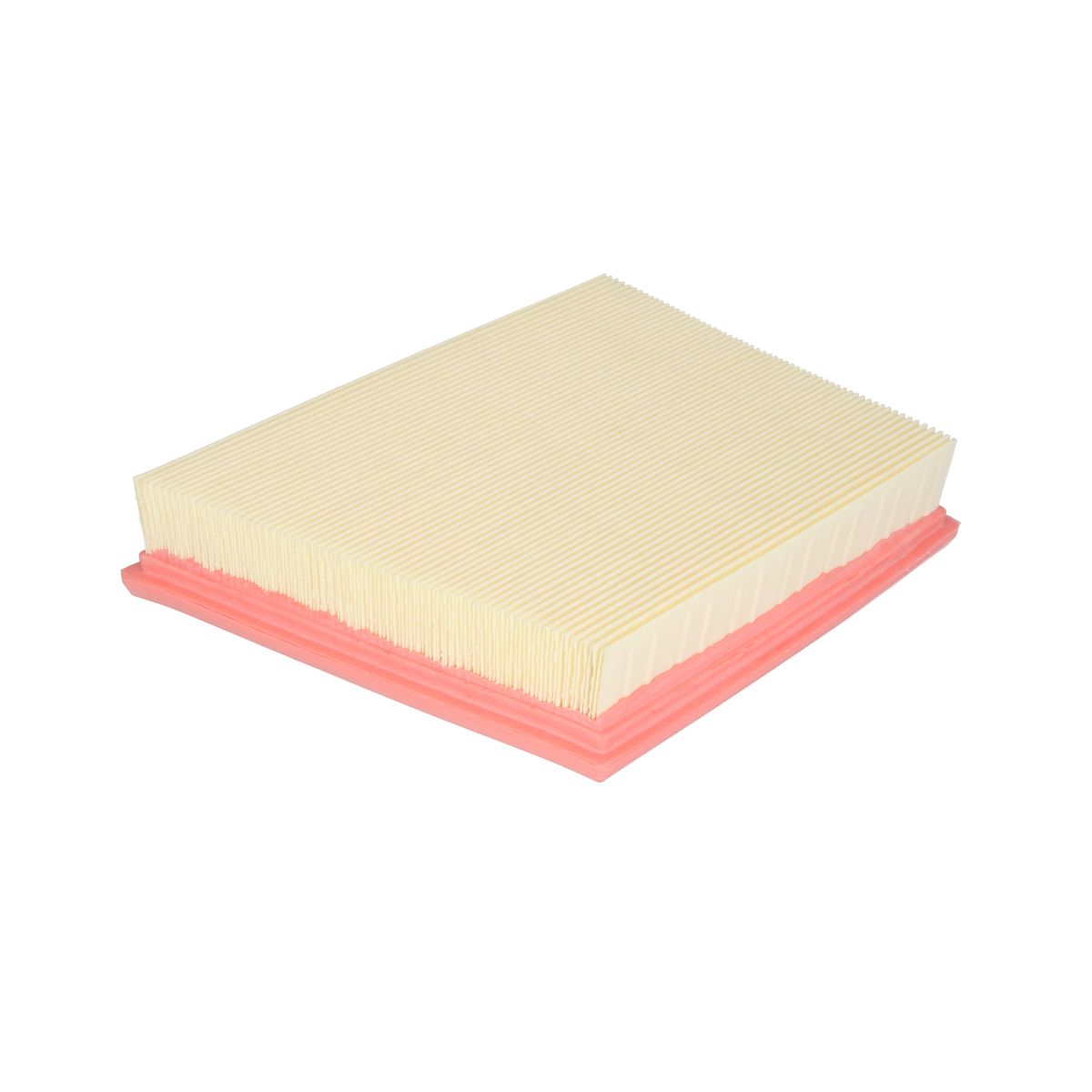 Filtron Filtro Aria Ap193/8