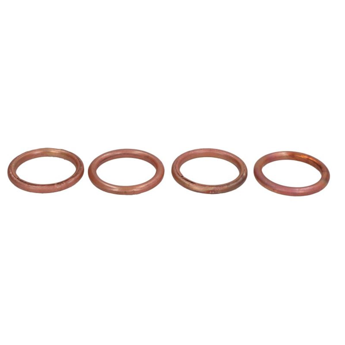 Abgasdichtung WINDEROSA W823021