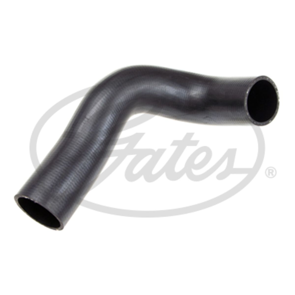 Image of Radiatorslang