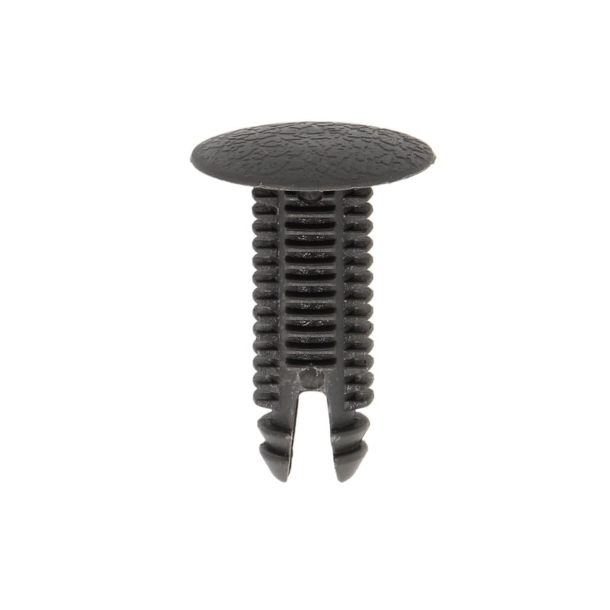 Image of Clip  , 10 Stuk