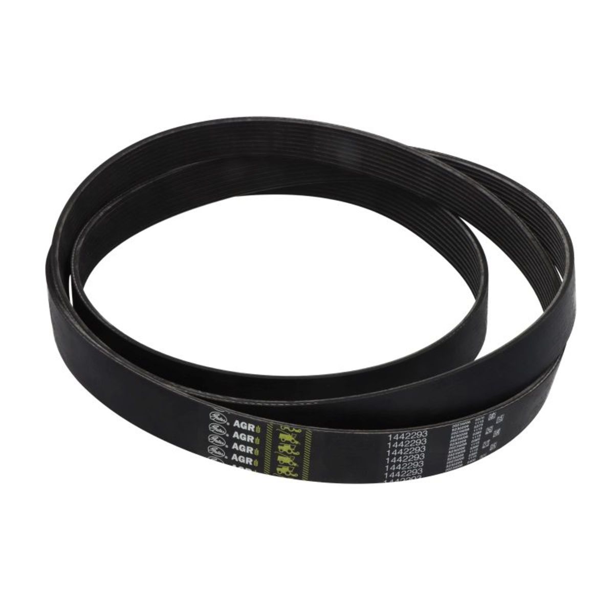 Image of V-riem  -GAT