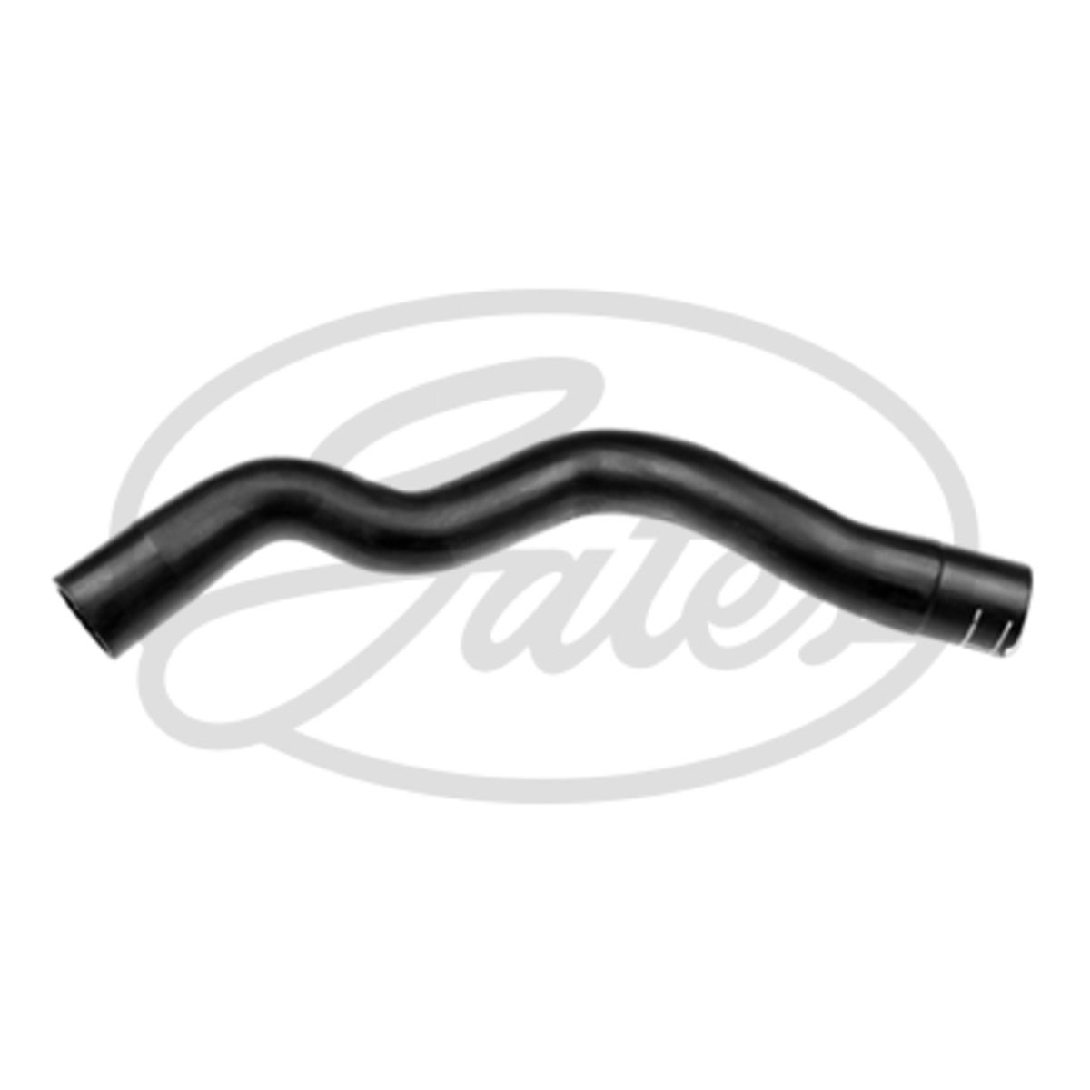 Image of Radiatorslang