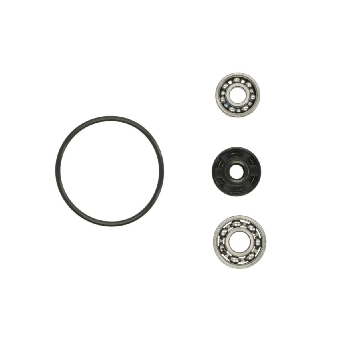 Reparatursatz, Wasserpumpe HOT RODS WPK0047
