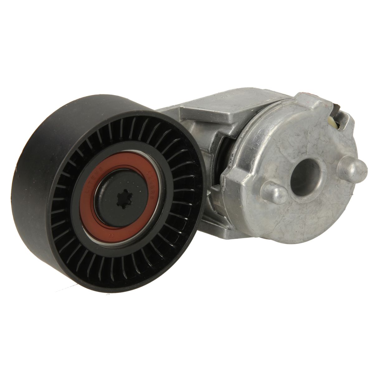 Image of Spanpoelie, V-riem