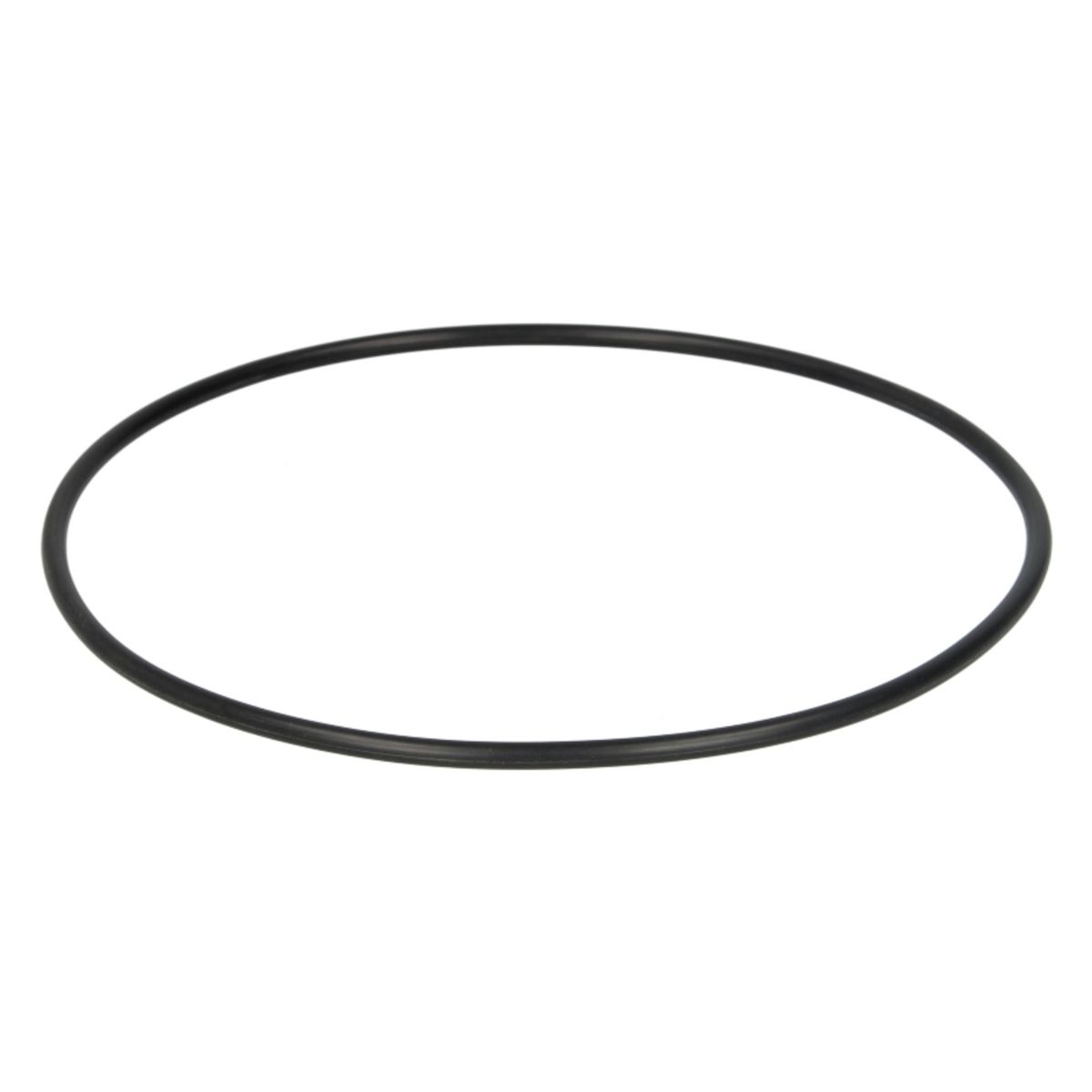 Image of O-ring, remschoenen