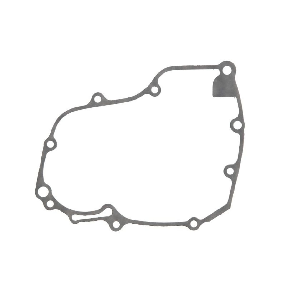 Generatordeckeldichtung WINDEROSA 816193